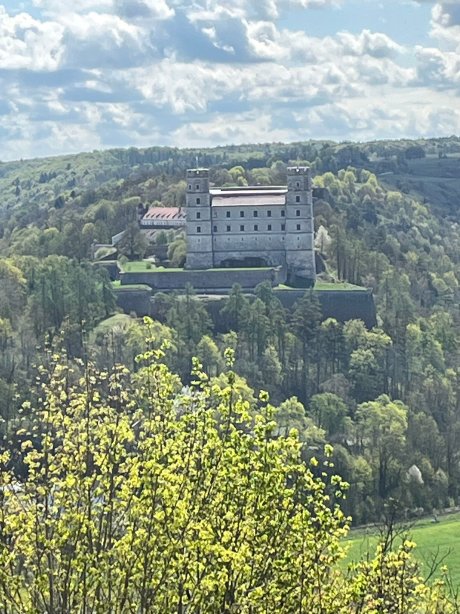 Wellnesshotel Schönblick - Superior-旅行者