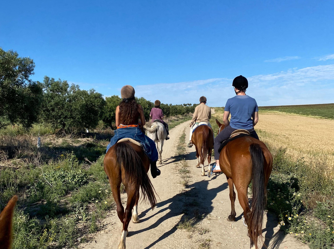 Al-Mesquid Stables-Sanlucar de Barrameda必去景点
