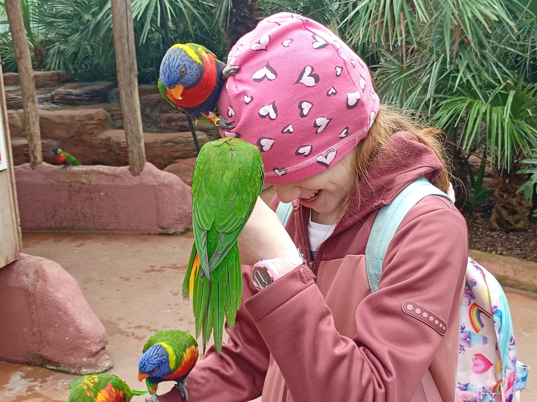 Vogelpark Avifauna-Alphen aan den Rijn必去景点