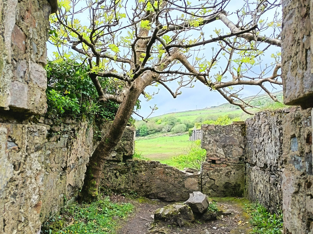 Connemara Adventure Tours-Leenane必去景点