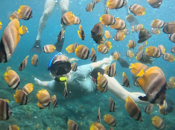 Ceningan Snorkeling Trip-努沙切宁安岛必去景点
