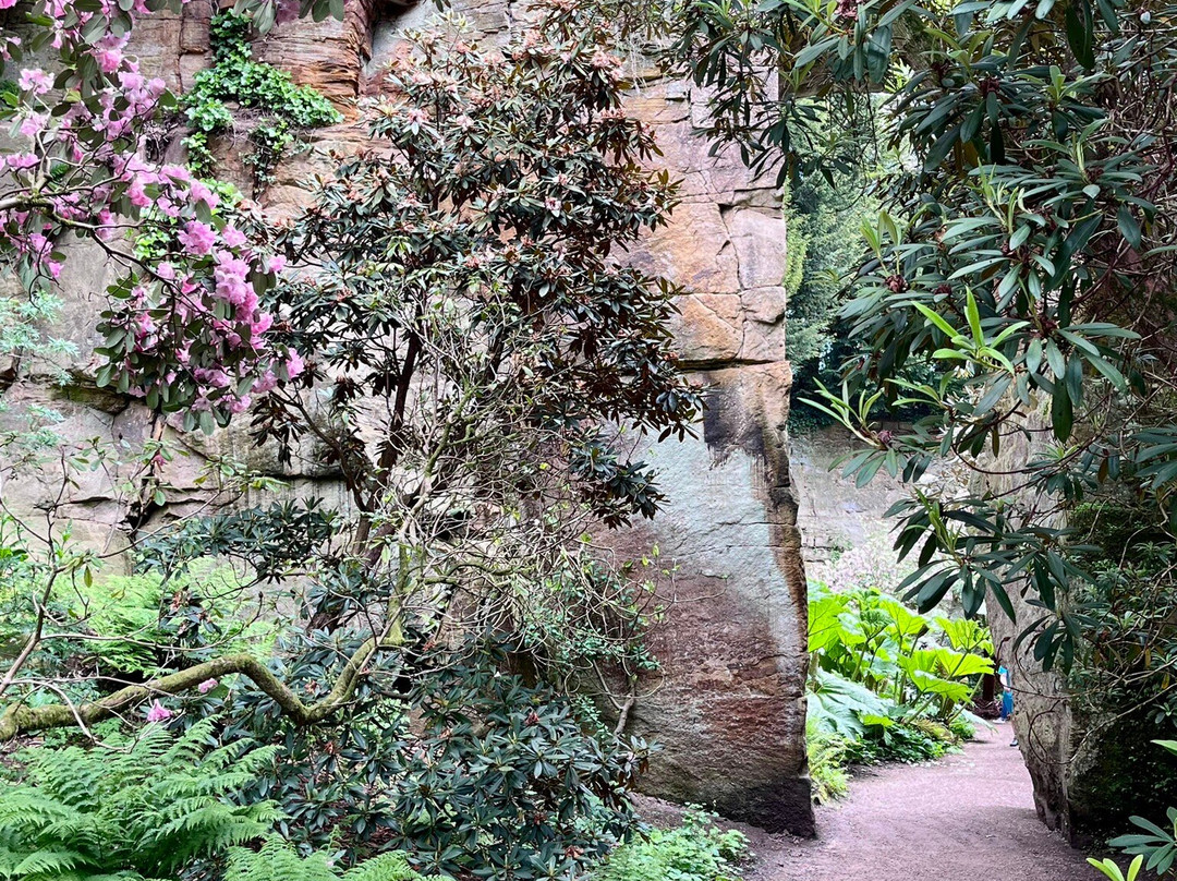 Belsay Hall Castle And Gardens-Belsay必去景点