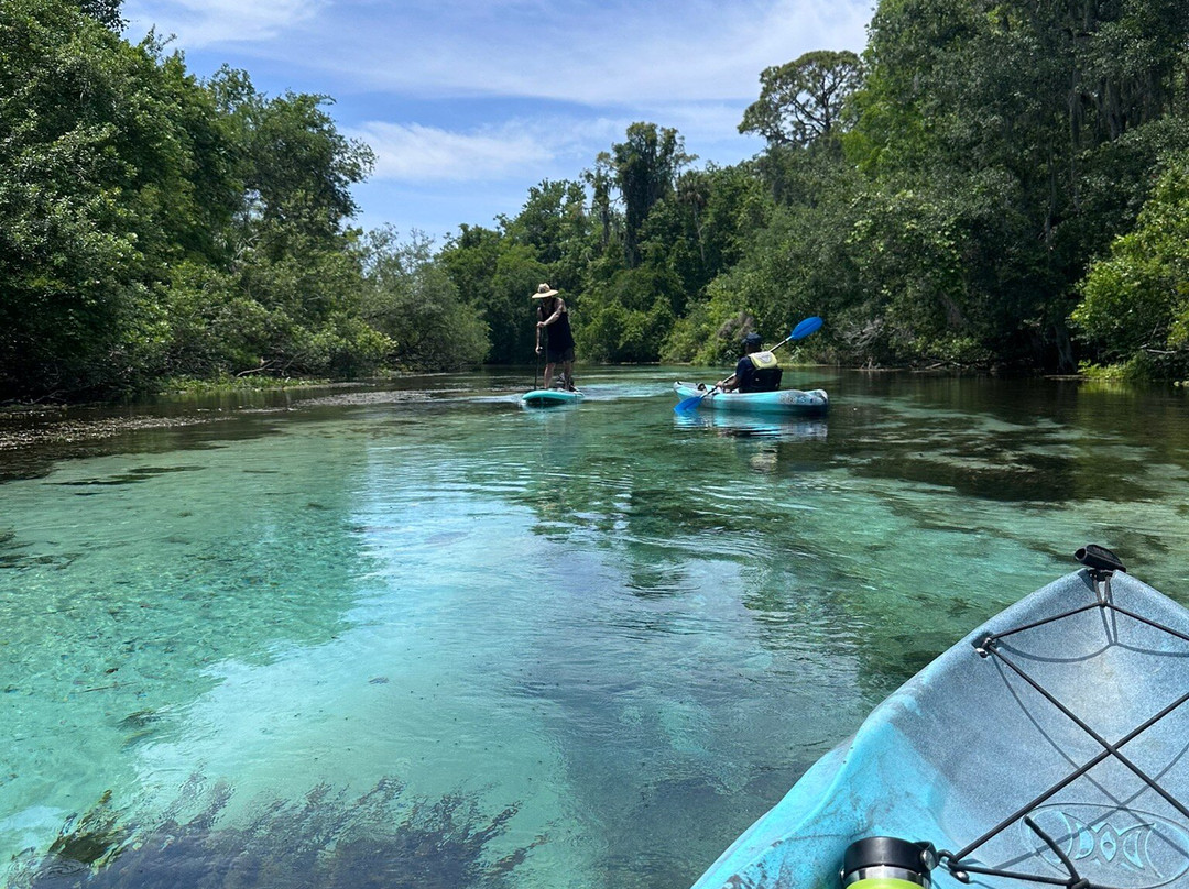 Weeki Wachee Springs-Weeki Wachee必去景点