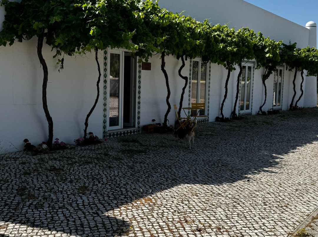 Herdade Canal Caveira-Grandola必去景点