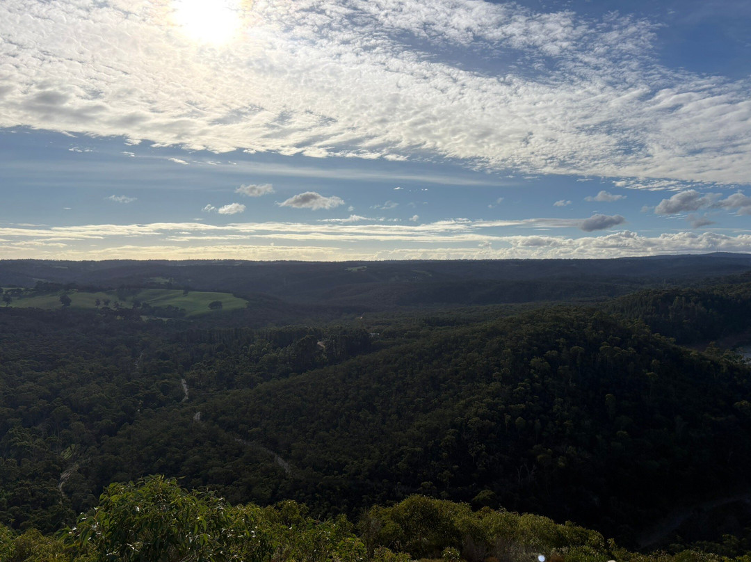 Mount Bold Reservoir-Kangarilla必去景点