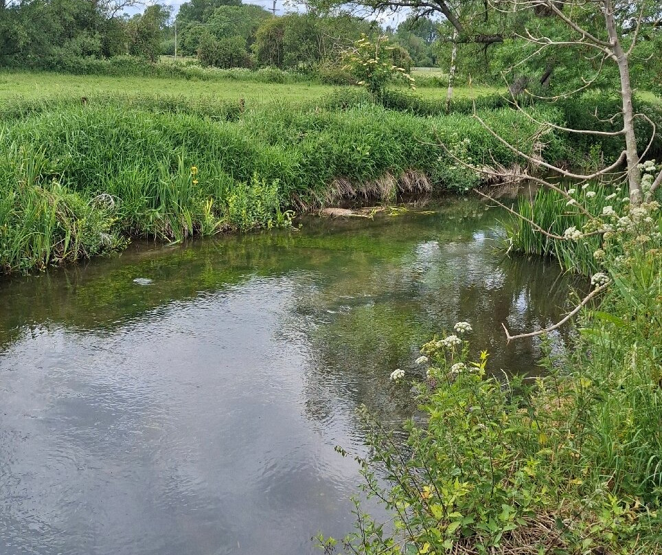 Langford Lakes Nature Reserve-Steeple Langford必去景点