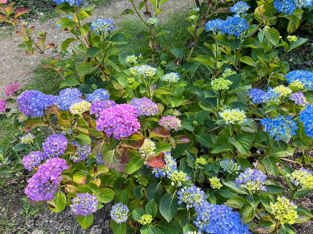 Le jardin de caradec-Saint-Nolff必去景点