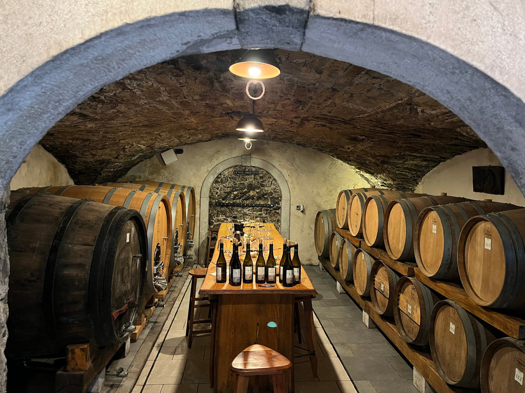 Petric Winery - Vipava-Vipava必去景点