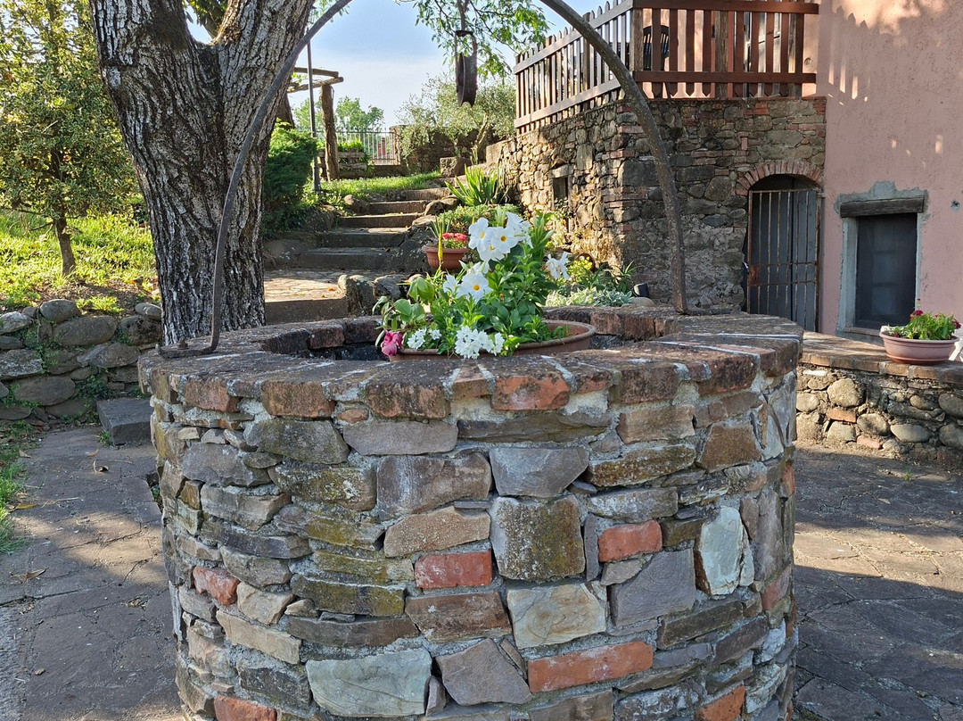 Agriturismo Venturo主图