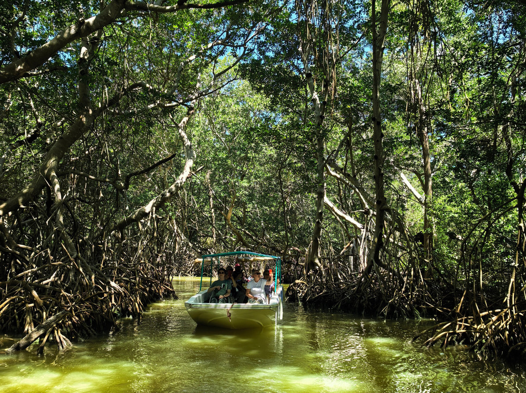 Reserva de la Biosfera Ría Celestún-塞莱斯顿必去景点