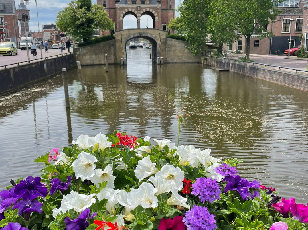 Watertoren Sneek (1908)-Sneek必去景点