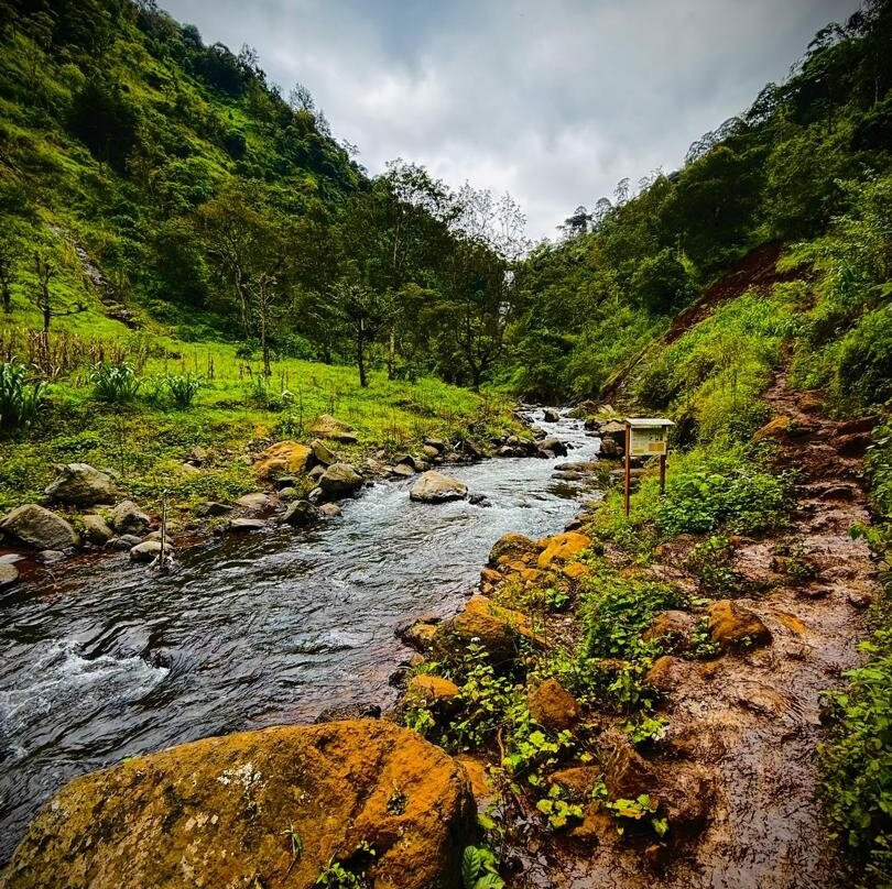 Materuni Waterfalls-Namro必去景点