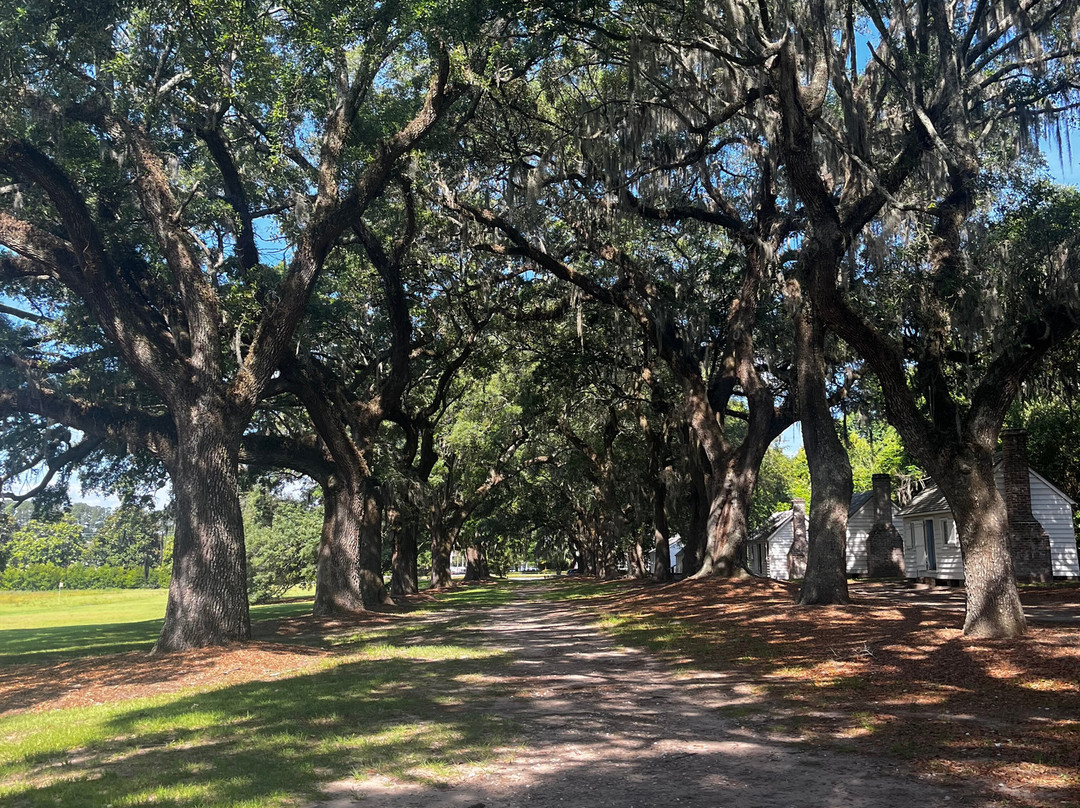 McLeod Plantation Historic Site-查尔斯顿必去景点
