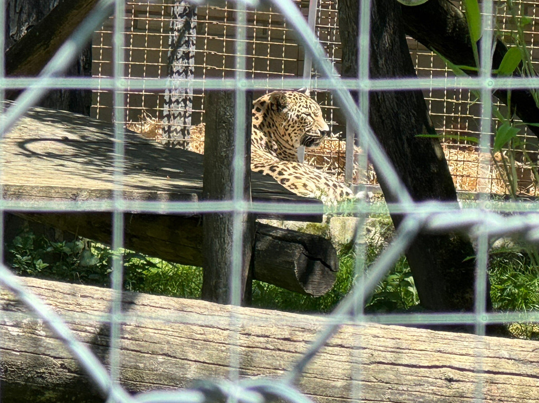 Zoo Ljubljana-卢布尔雅那必去景点