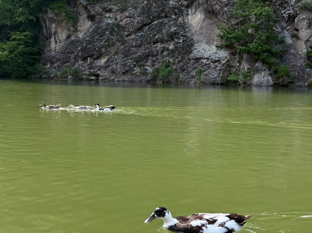 Lake Parz-Dilijan必去景点