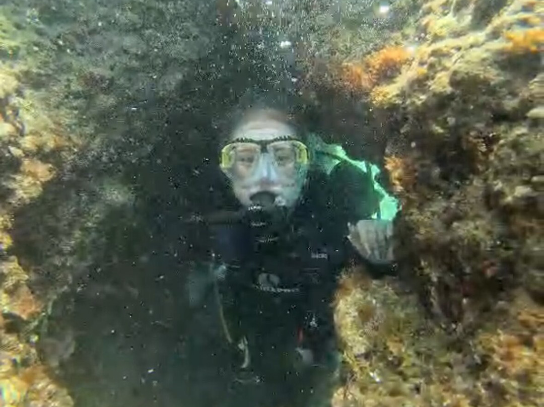 Kalamata Dive Center-卡拉马塔必去景点