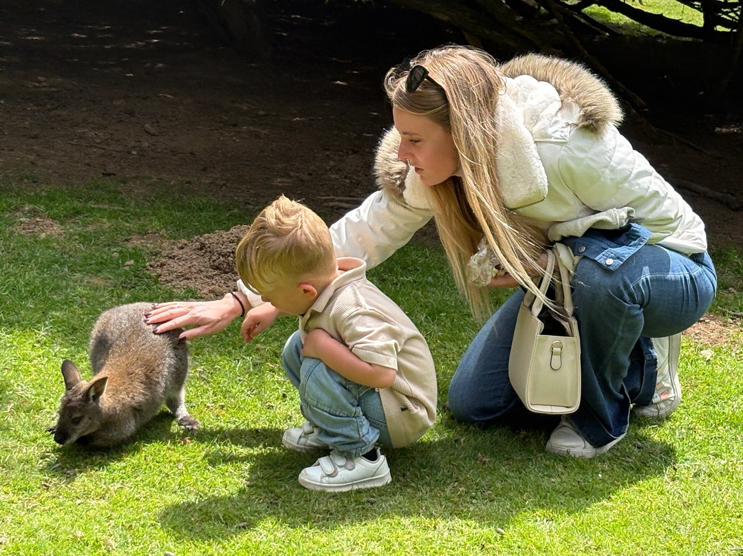 Parc Animalier et Botanique de Branféré-Le Guerno必去景点