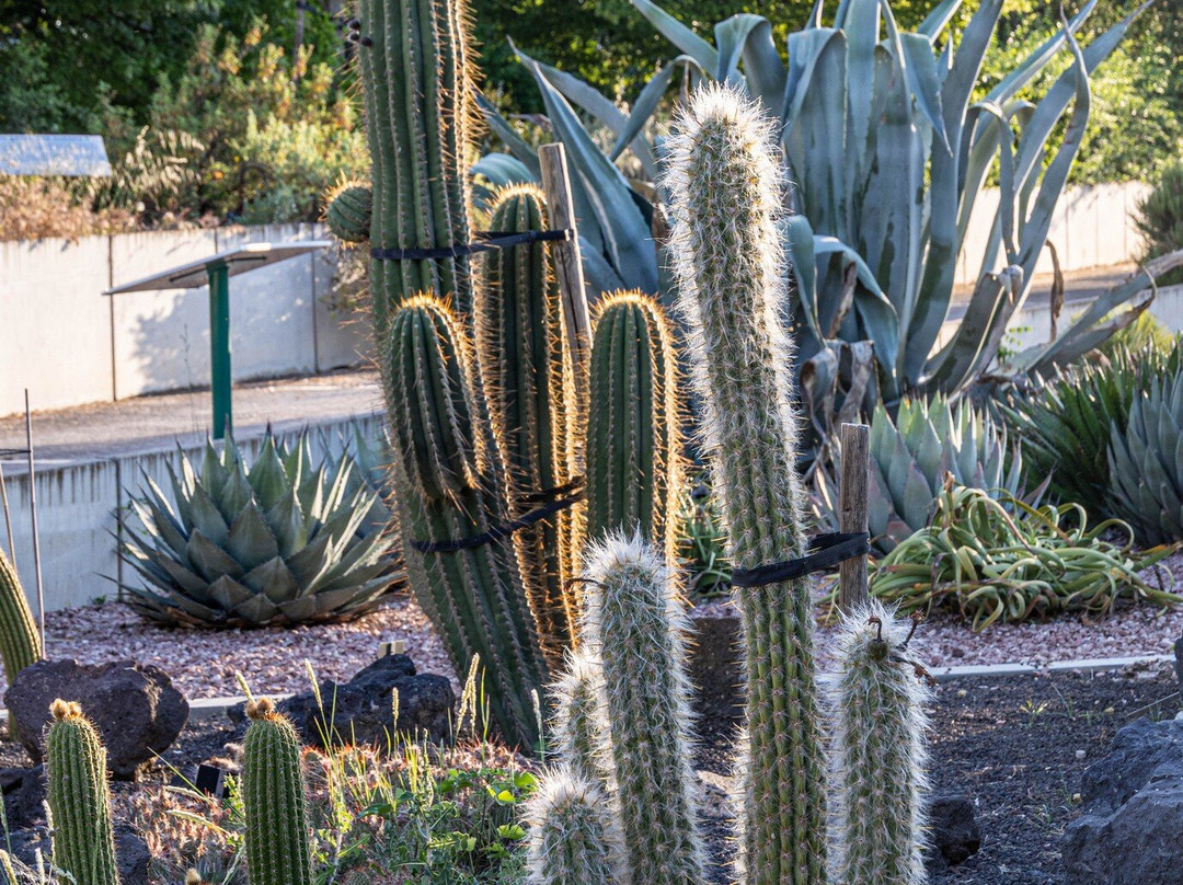 Jardin Botanico de Castilla-La Mancha-阿尔瓦塞特必去景点