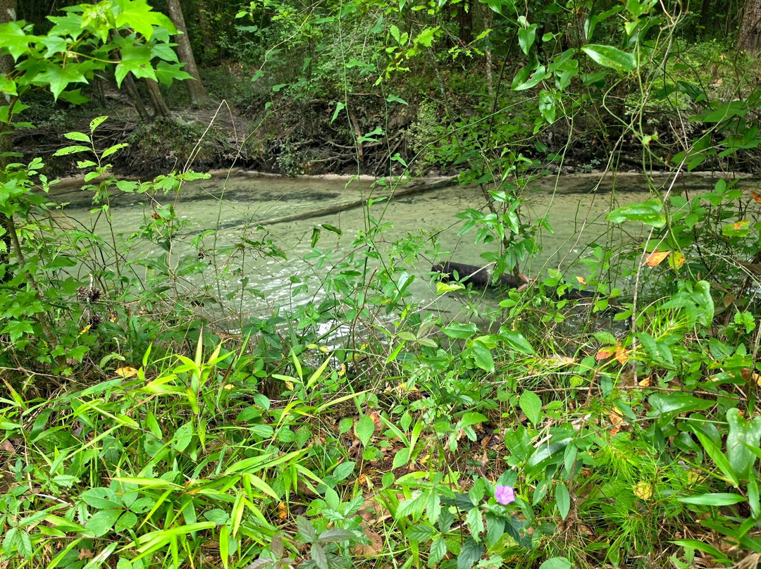 Ponce de Leon Springs State Park-Ponce de Leon必去景点