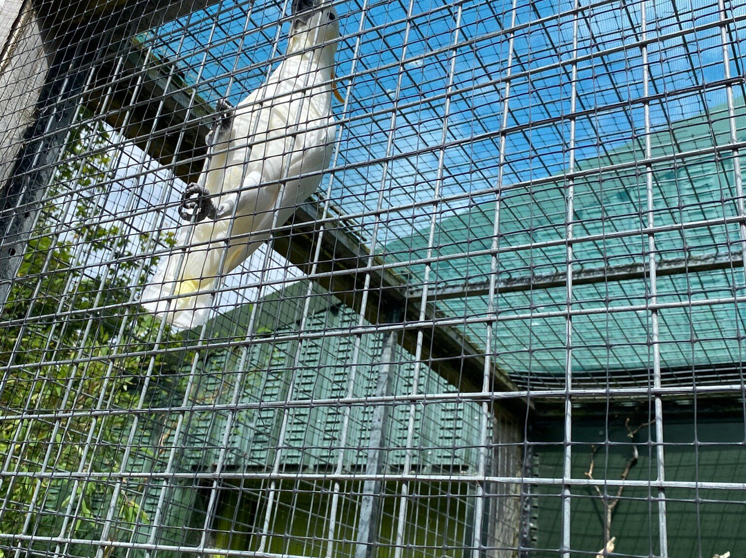 The Lake District Wildlife Park-Bassenthwaite必去景点