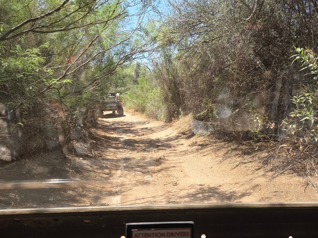 Desert Wolf Tours-凤凰城必去景点