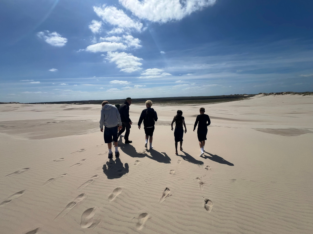 Naturhistorisk Museum - Skagen Naturcenter-斯卡恩必去景点