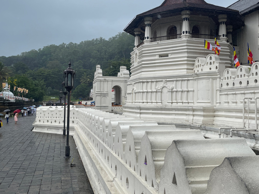 Travelers Choice To Ceylon-科伦坡必去景点