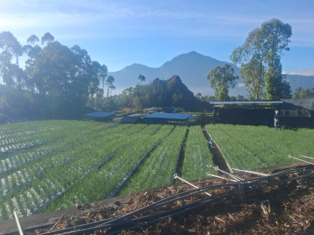 瑟勒坦水疗度假别墅主图
