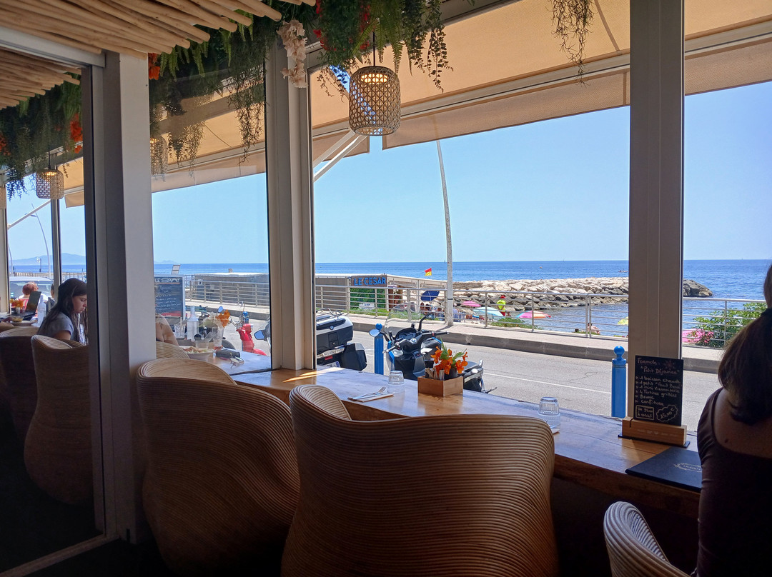 LE SPOT Restaurant