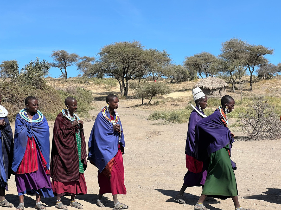 Zara Tanzania Adventures-莫西必去景点