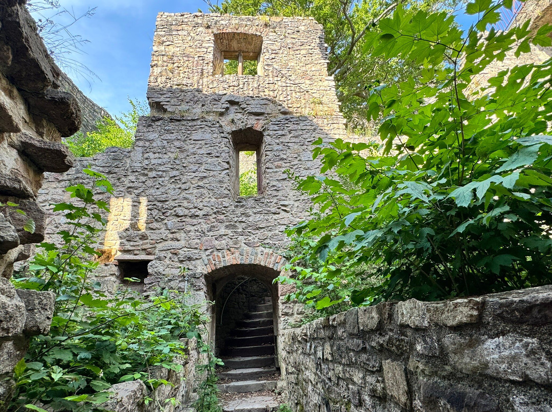 Altes Schloss Hohenbaden-巴登巴登必去景点