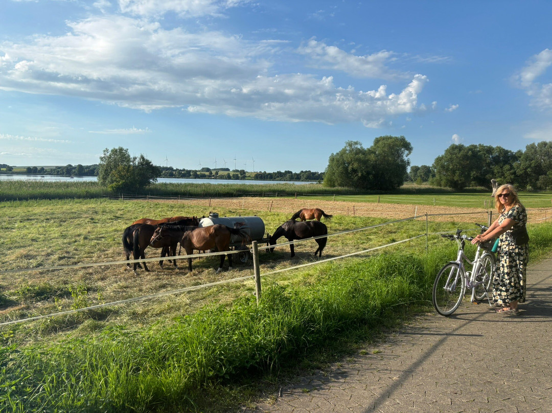 Comfort Camping Seeburger See
