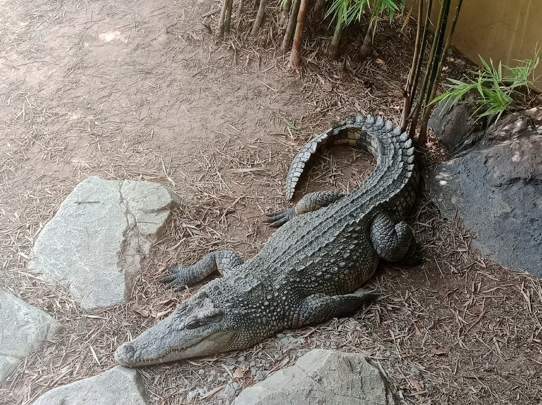 Angkor Wildlife & Aquarium-暹粒必去景点