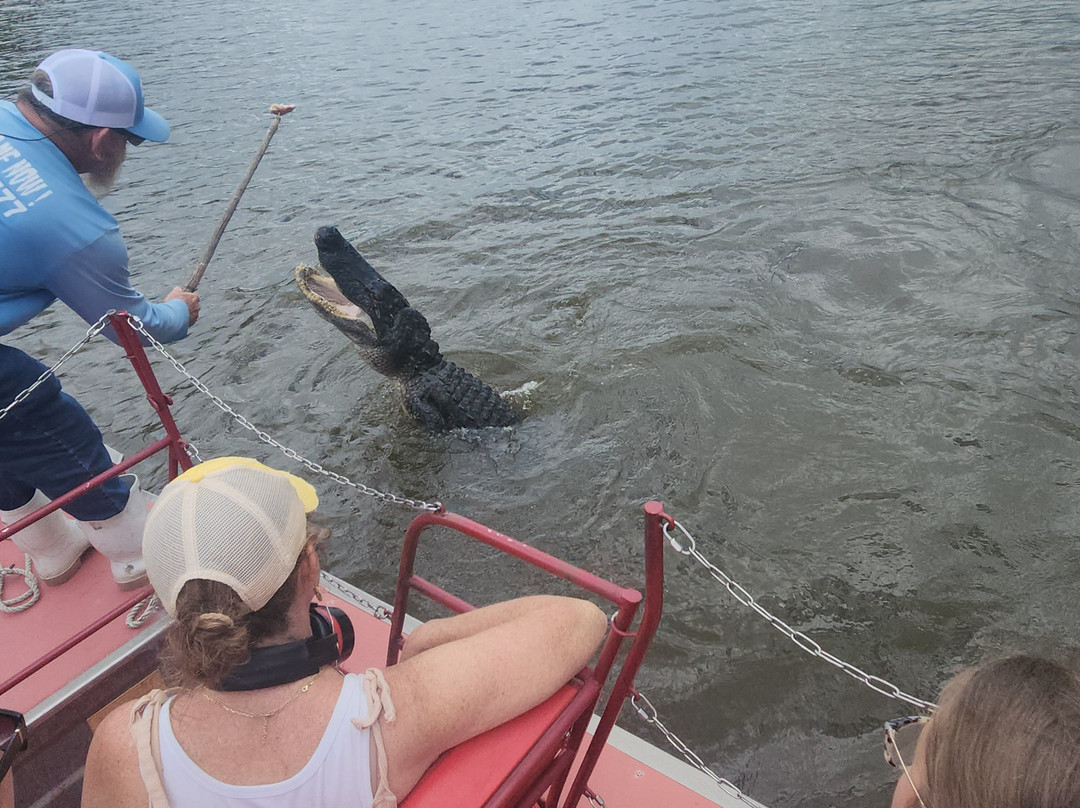 New Orleans Airboat Tours-Marrero必去景点