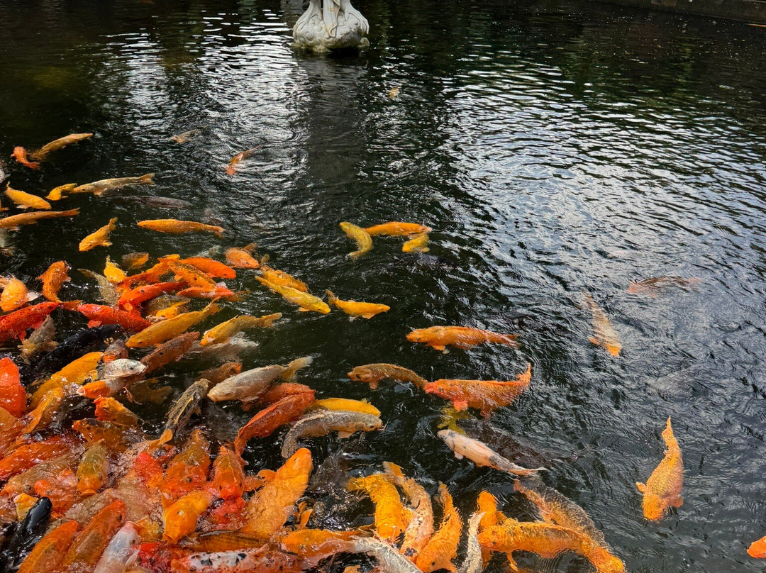 Happy Bali Tours-乌布必去景点