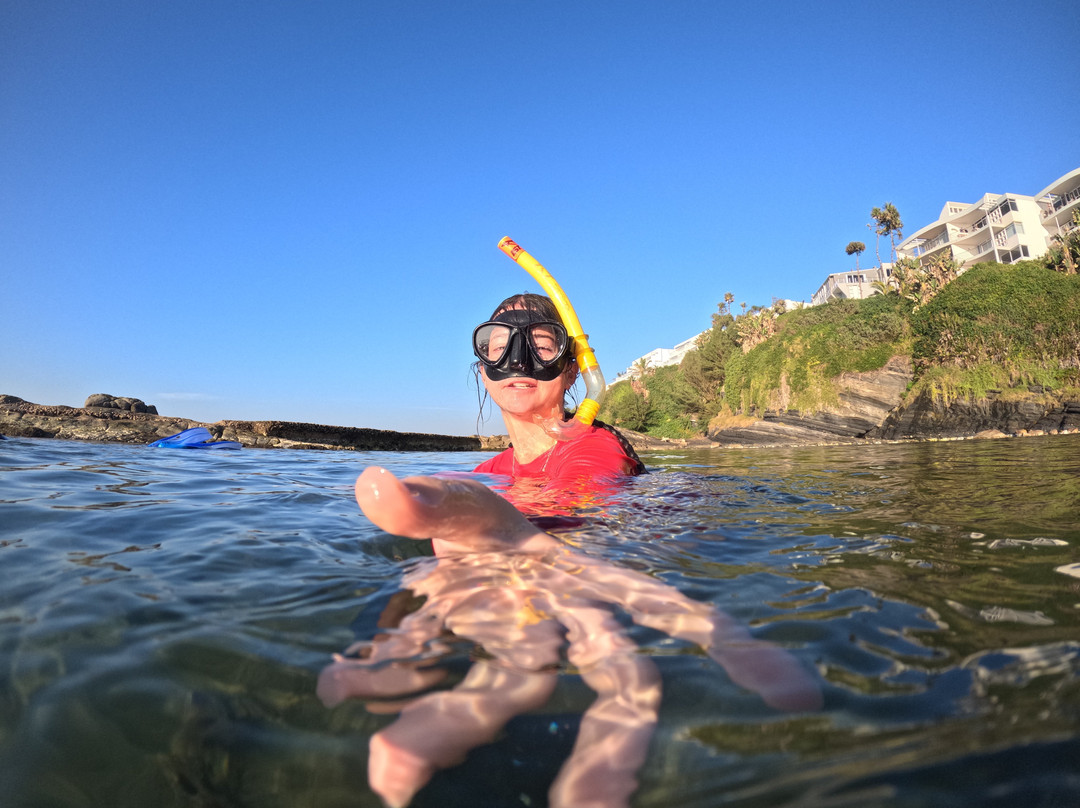 Tidal Tao Snorkeling Safaris-巴利托必去景点