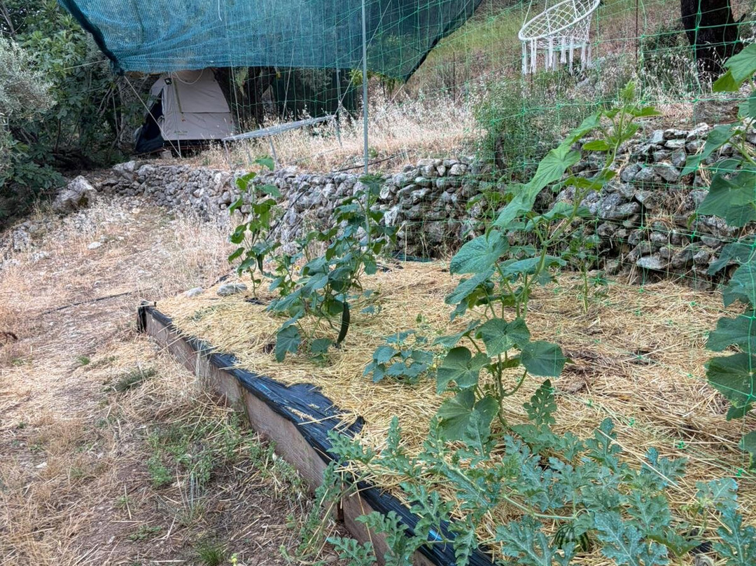 Lefkada Micro Farm: Open Air Museum-Nidri必去景点