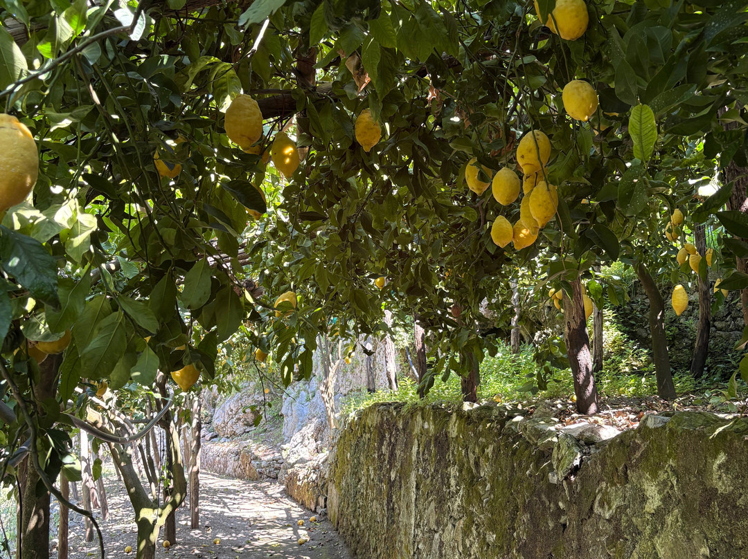 Experience Amalfi Coast-阿杰罗拉必去景点