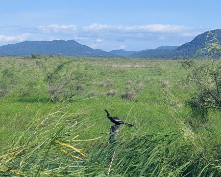 兰桥巫莫埃斯坦西亚酒店-旅行者