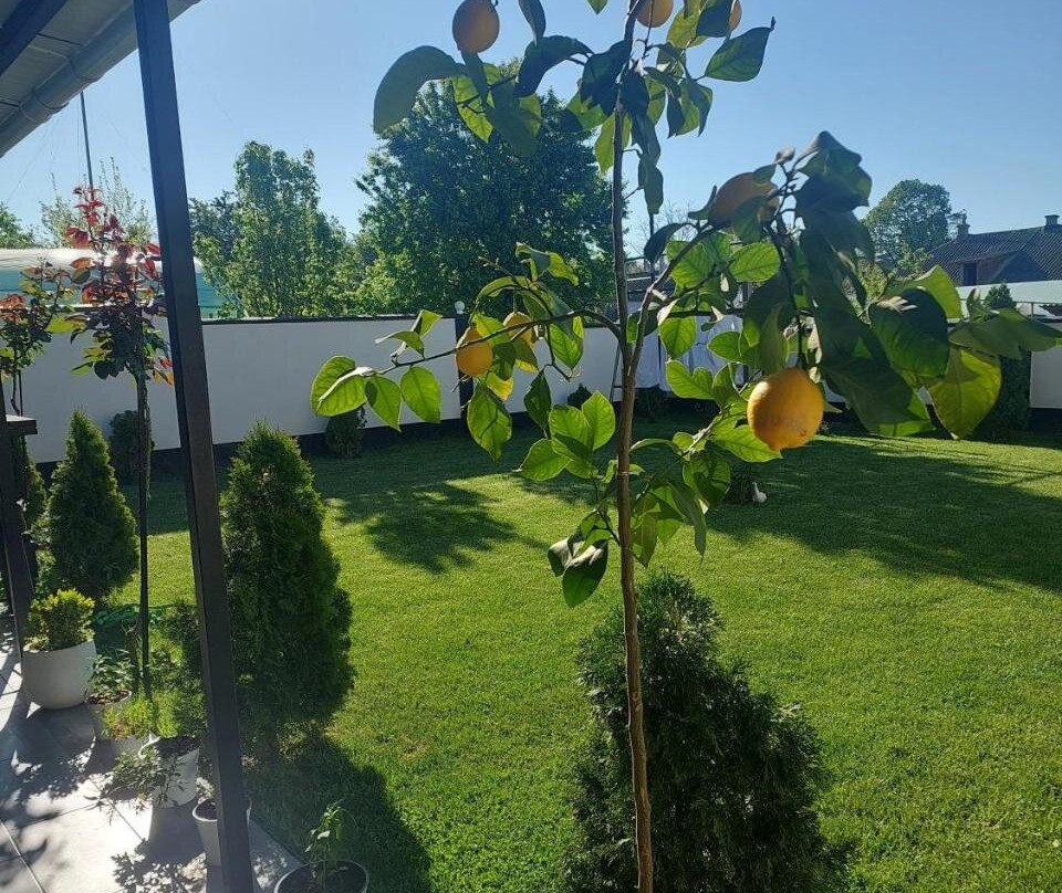 Dennis Guesthouse Cahul