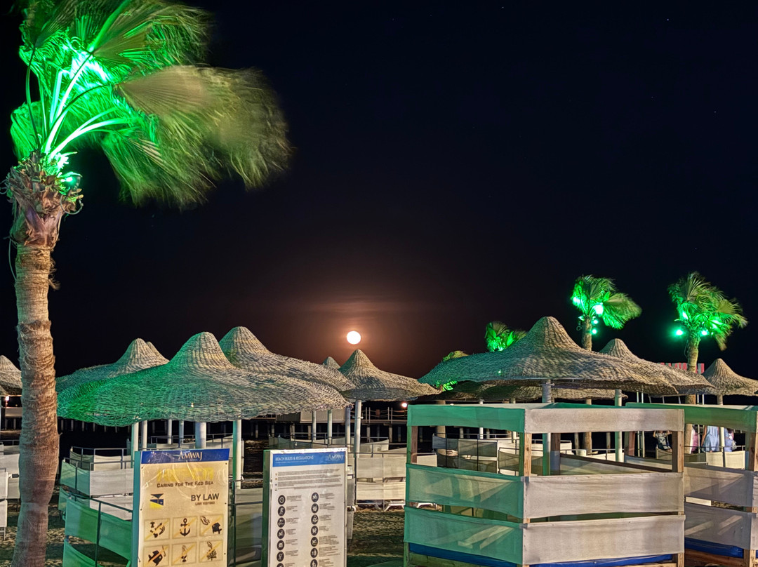 阿布索马安瓦吉海滩俱乐部全包式住宿主图