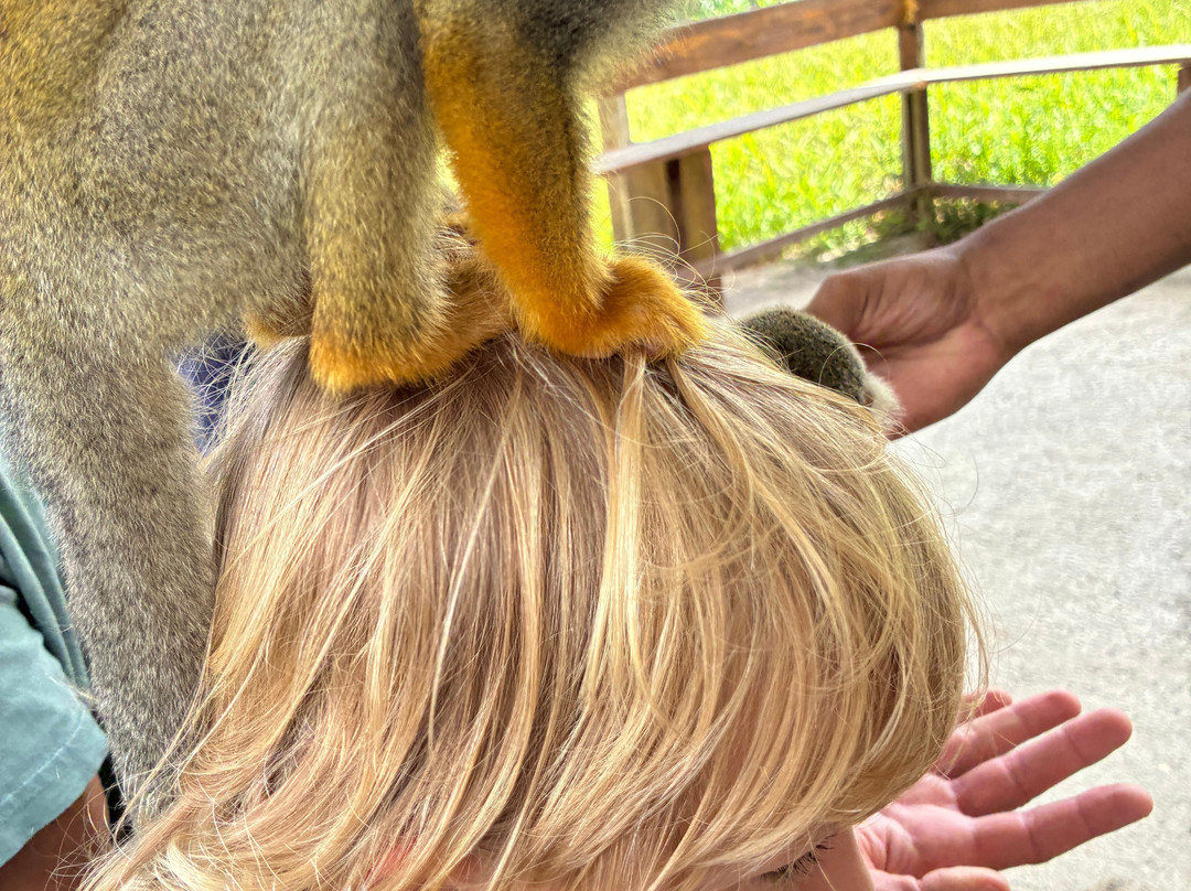 Monkey Home Puerto Plata-普拉塔港必去景点