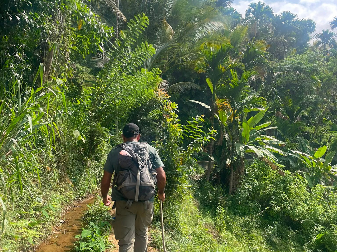Kandy Trekking Tours-康提必去景点
