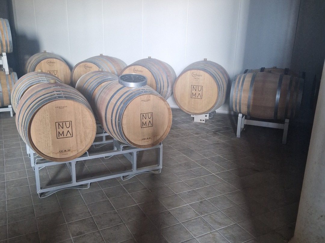 Cantina Numa