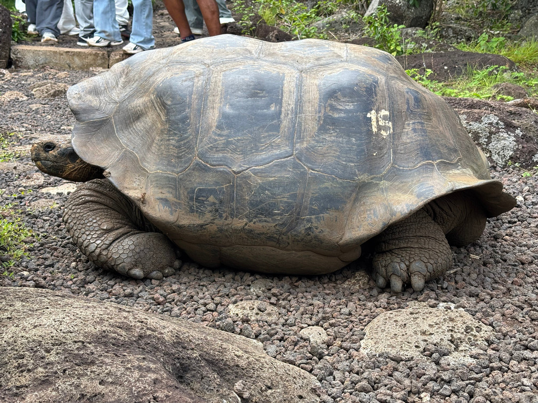 Galapaguera de Cerro Colorado-圣克里斯托瓦尔必去景点