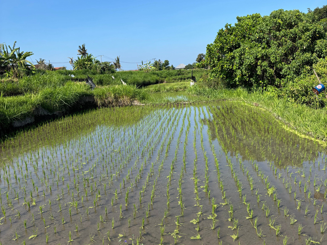 Happy Local adventure-Medahan必去景点