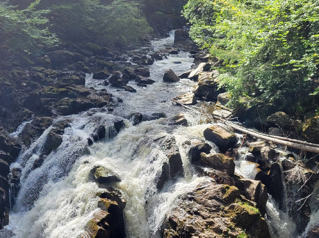 The Hermitage-Dunkeld必去景点