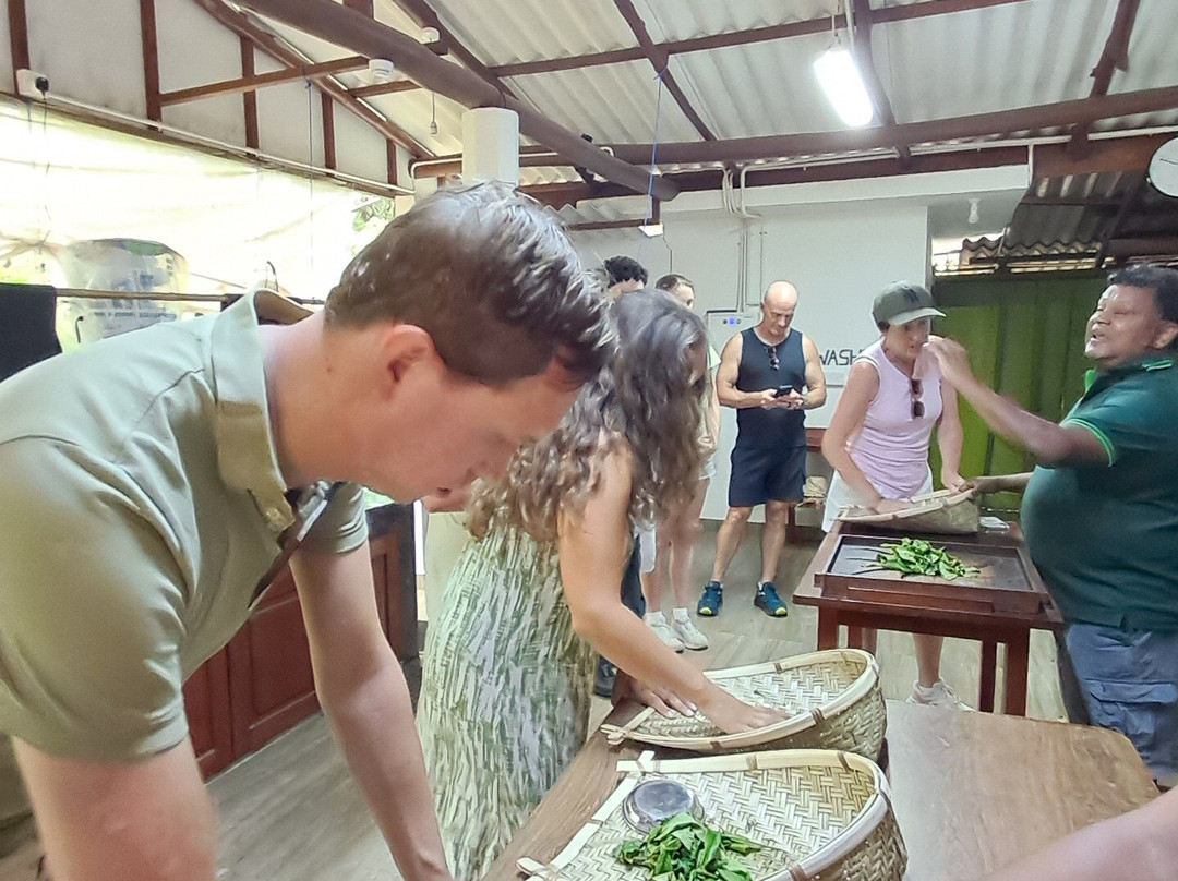 Ella Organic Tea Garden-Heeloya必去景点