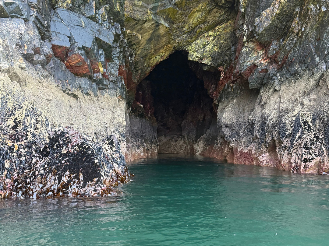 Swilly Boat Tours-Fahan必去景点