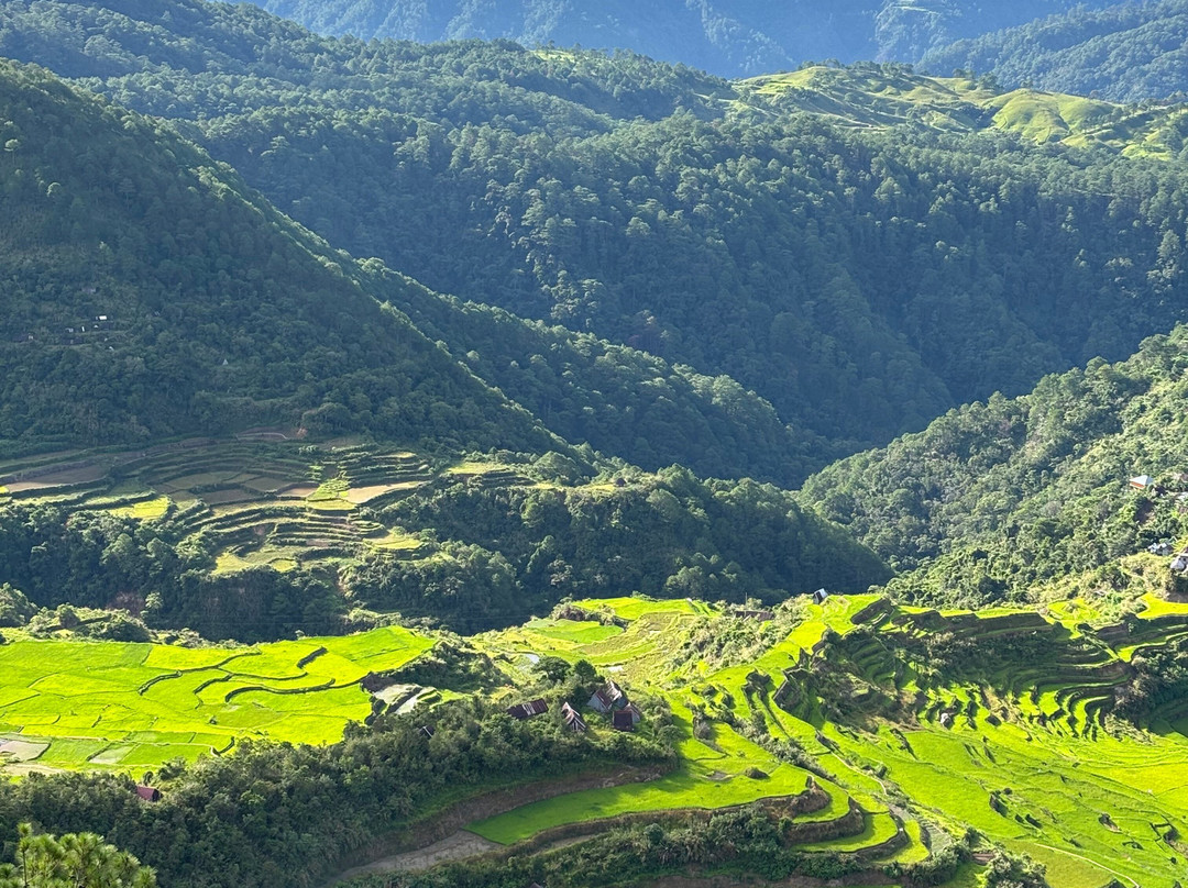 Maligcong Rice Terraces-Bontoc必去景点